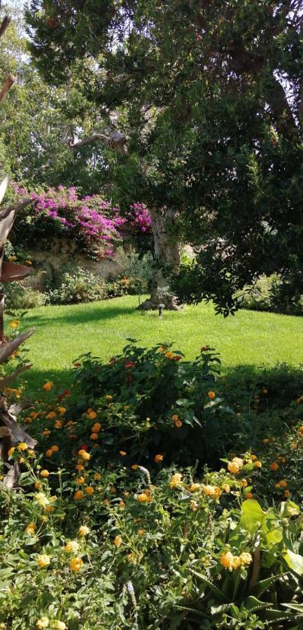 Residence Il Giunco Presicce Bagian luar foto